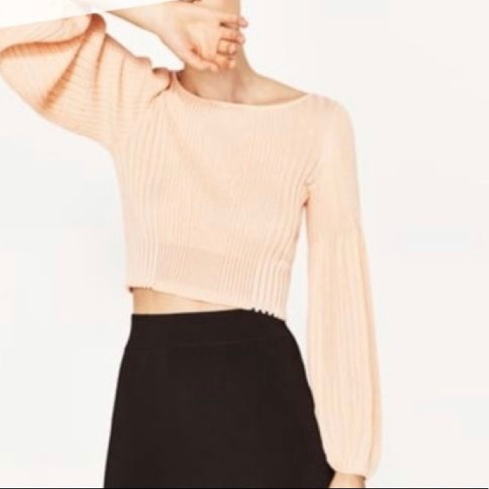 ✨NWT✨ Zara crop